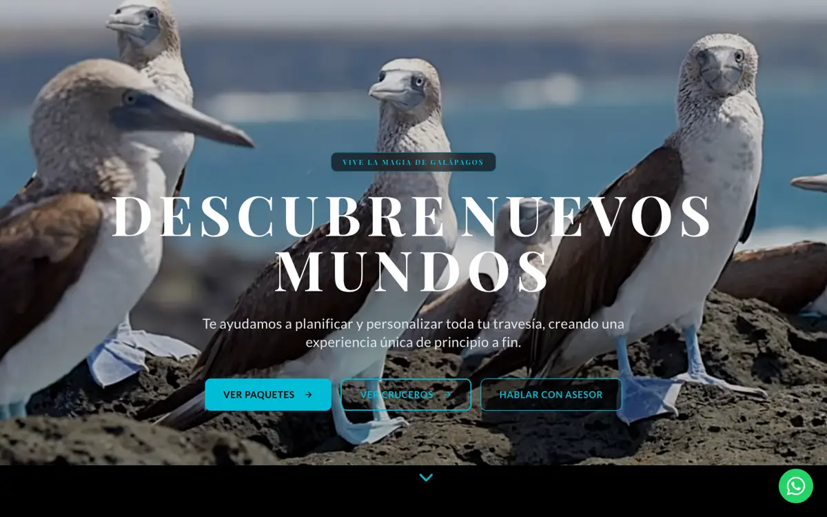 لقطة من موقع Sealion Travel Agency